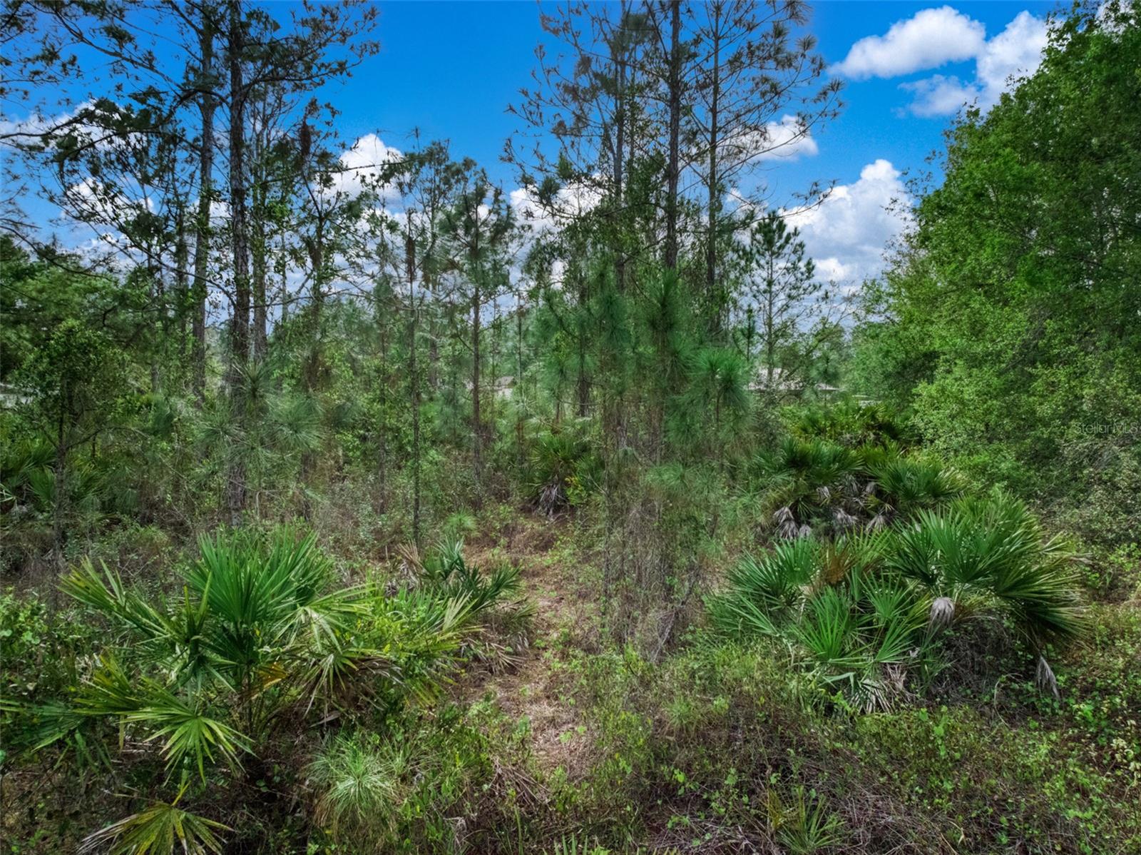 4814 LAKEWOOD RD, SEBRING, FL — photo 17