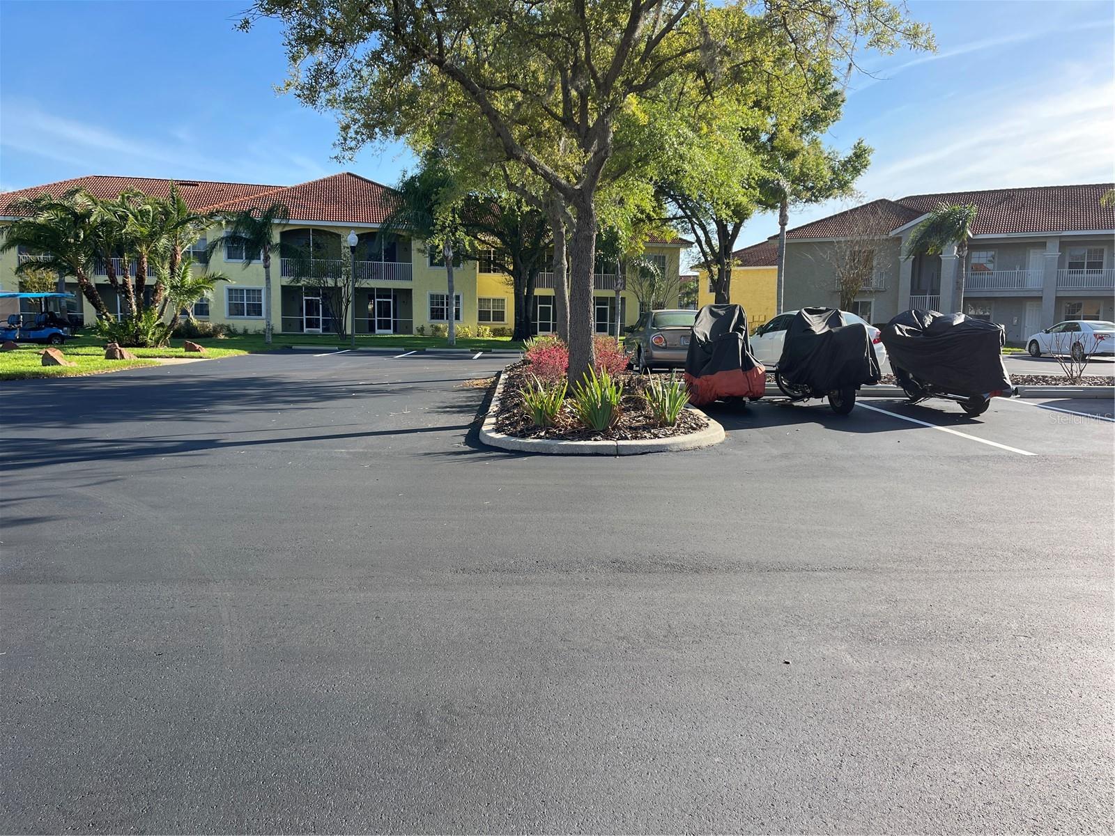 6816 DALI AVE #201, LAND O LAKES, FL — photo 3