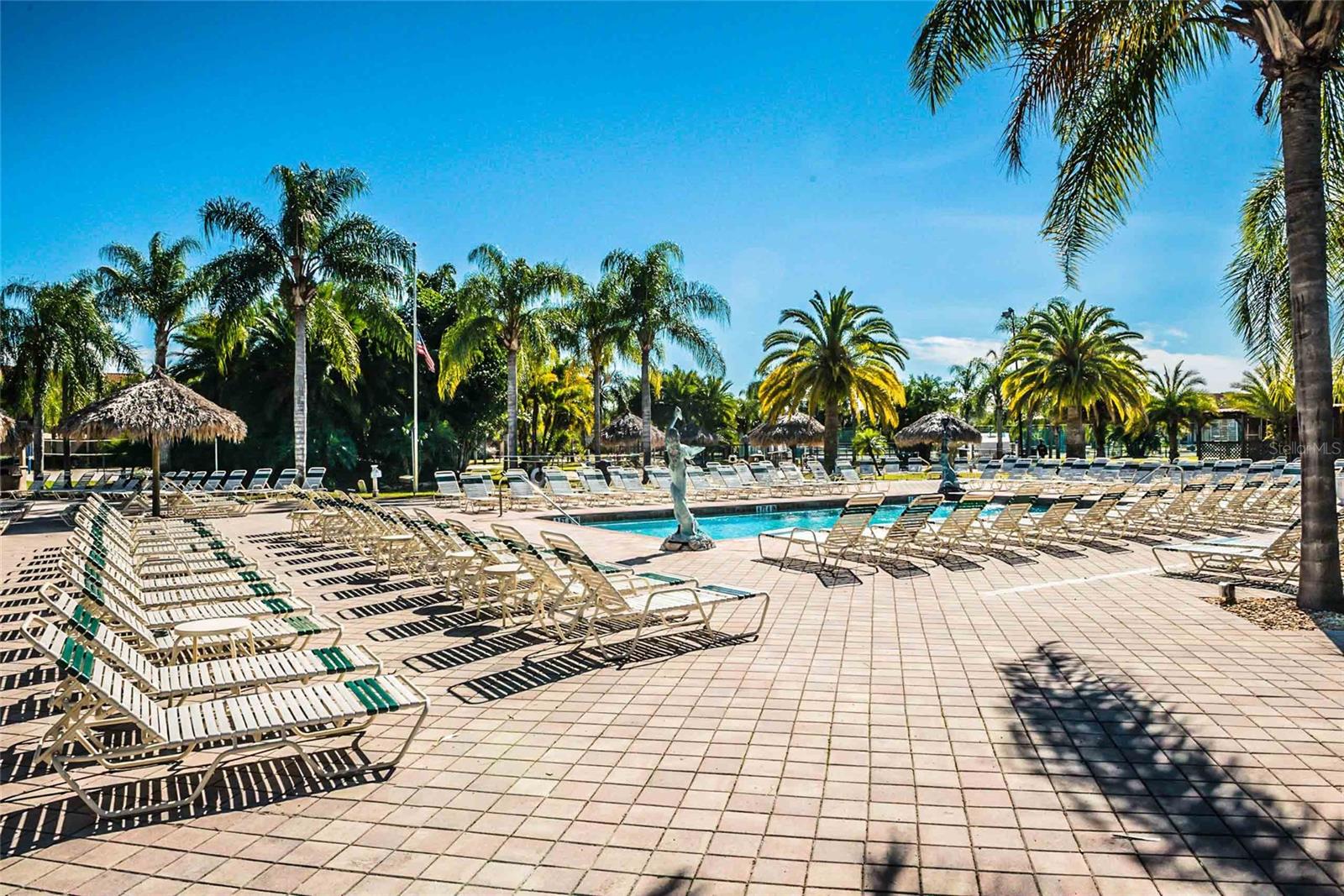 6816 DALI AVE #201, LAND O LAKES, FL — photo 6