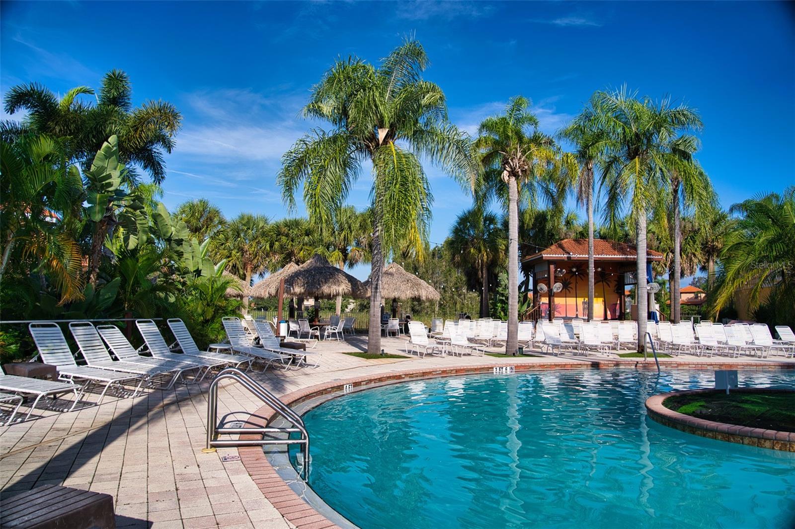 6816 DALI AVE #201, LAND O LAKES, FL — photo 5