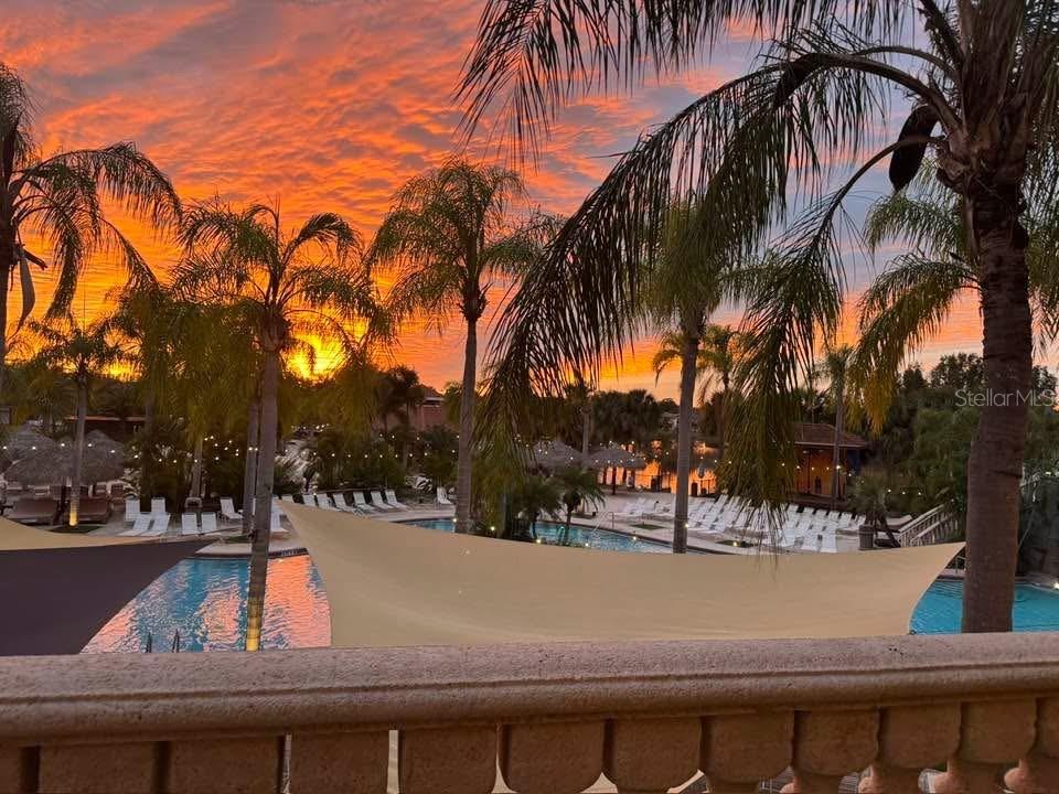 6816 DALI AVE #201, LAND O LAKES, FL — photo 58