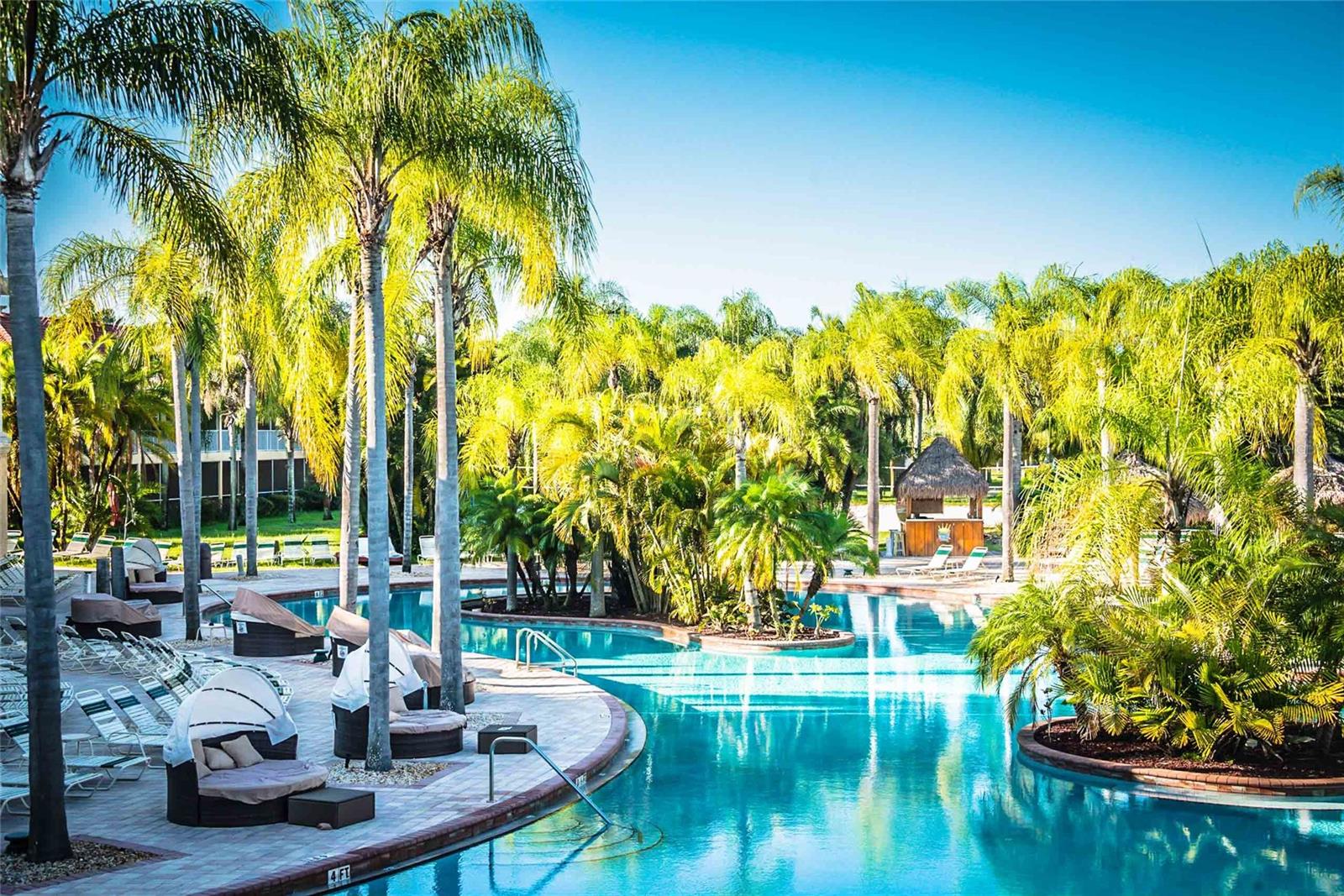 6816 DALI AVE #201, LAND O LAKES, FL — photo 4