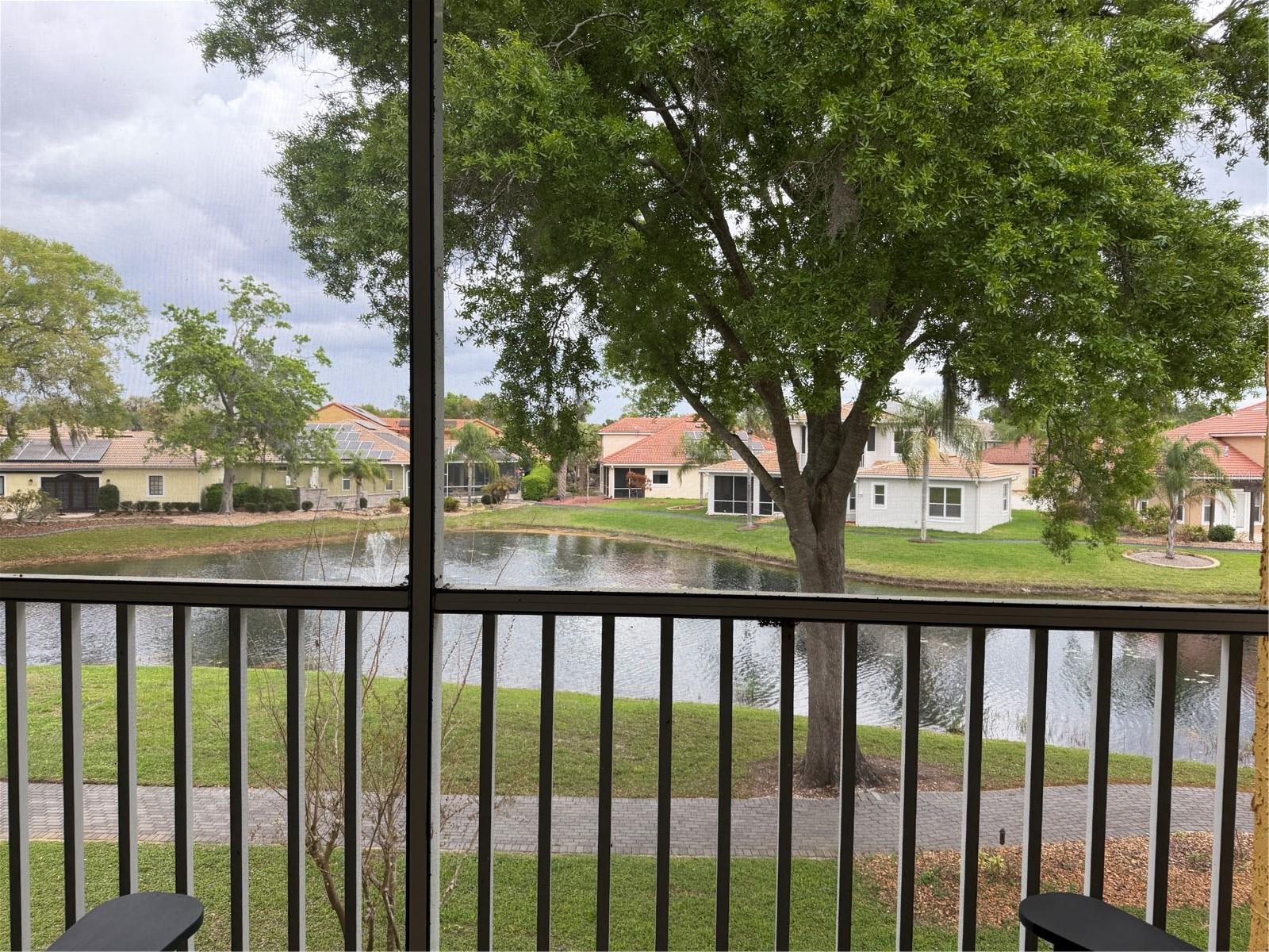 6816 DALI AVE #201, LAND O LAKES, FL — photo 2