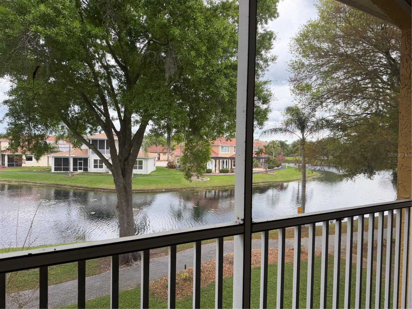 6816 DALI AVE #201, LAND O LAKES, FL — photo 22