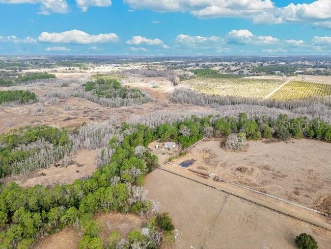 11535 MATTIODA RD, GROVELAND, FL — photo 12