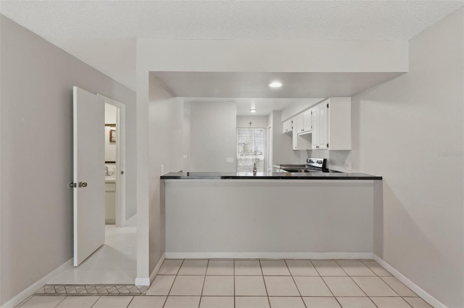 16143 RAMBLING VINE DR E, TAMPA, FL — photo 13