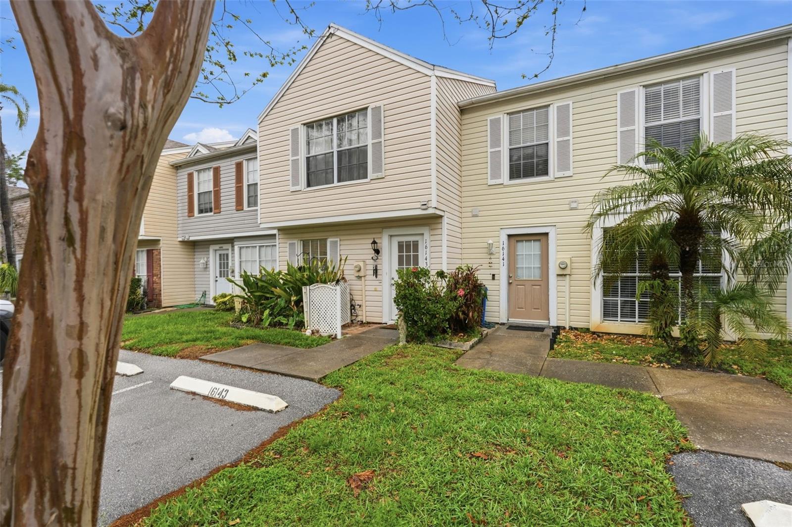 16143 RAMBLING VINE DR E, TAMPA, FL — photo 48