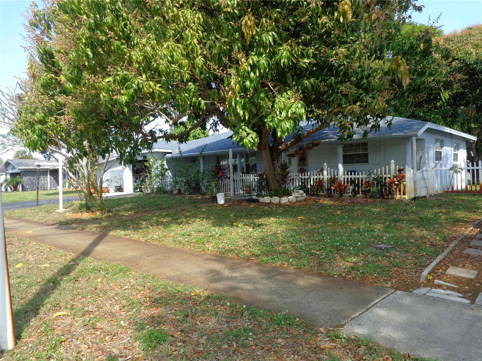6165 26TH AVE N, ST PETERSBURG, FL — photo 33