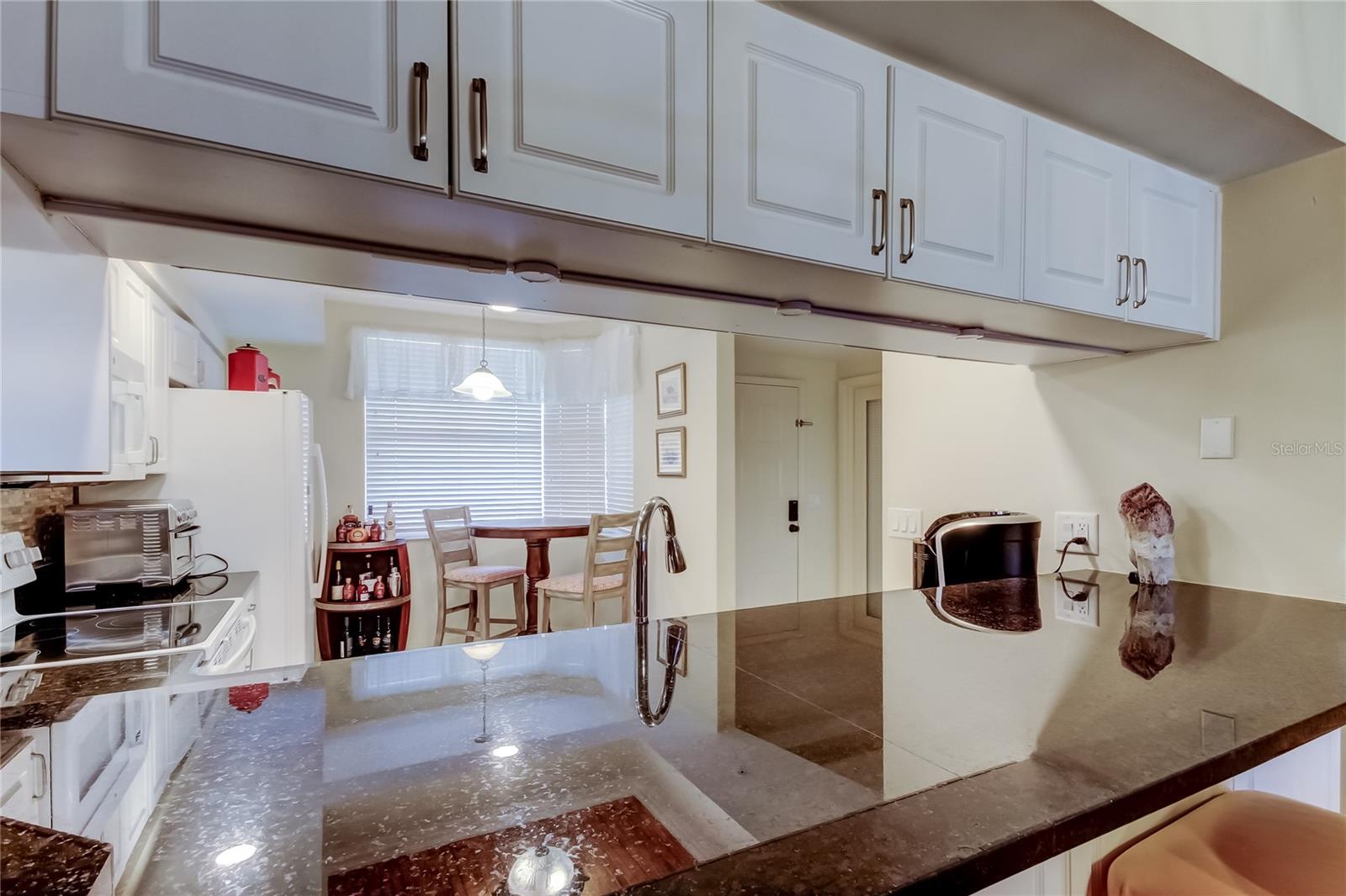 6205 SHORELINE DR #1304, SEMINOLE, FL — photo 8