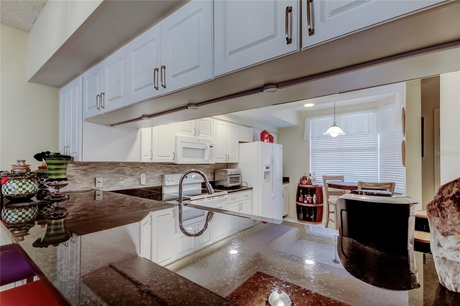 6205 SHORELINE DR #1304, SEMINOLE, FL — photo 11