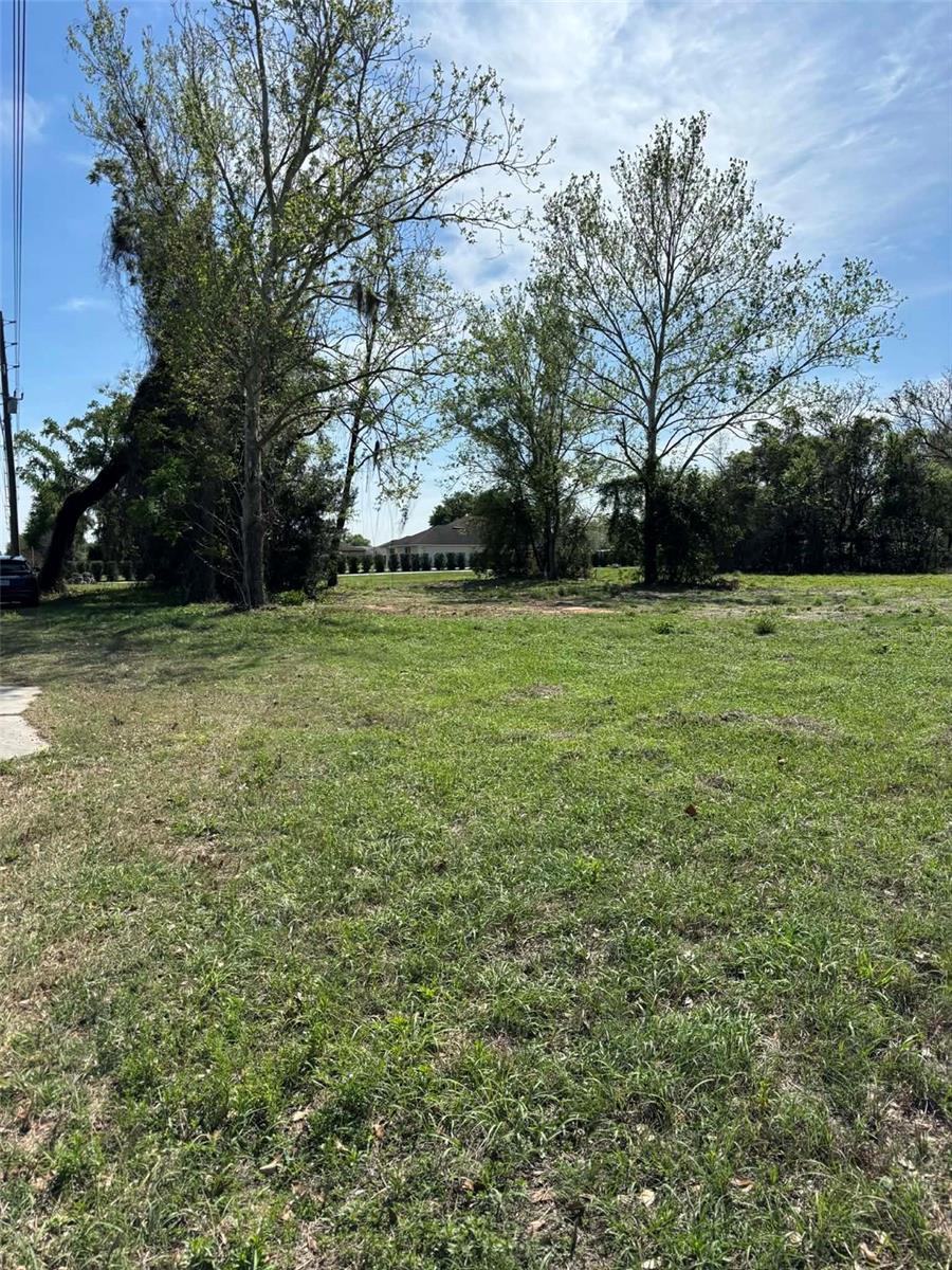 0000 STATE ROAD 19, GROVELAND, FL — photo 7