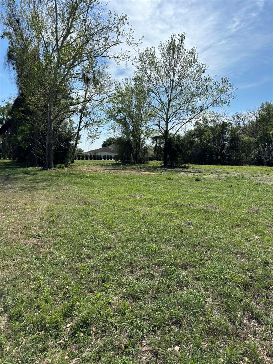 0000 STATE ROAD 19, GROVELAND, FL — photo 12