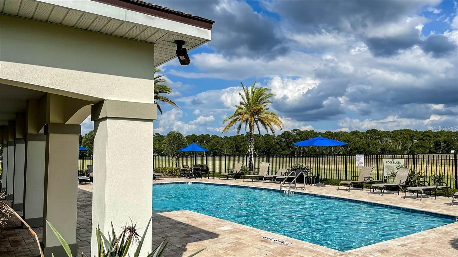9972 PALLIDA HICKORY WAY, WINTER GARDEN, FL — photo 41