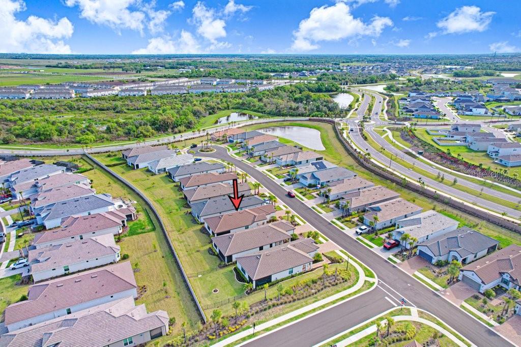 11417 TRIVIO TER, PALMETTO, FL — photo 47