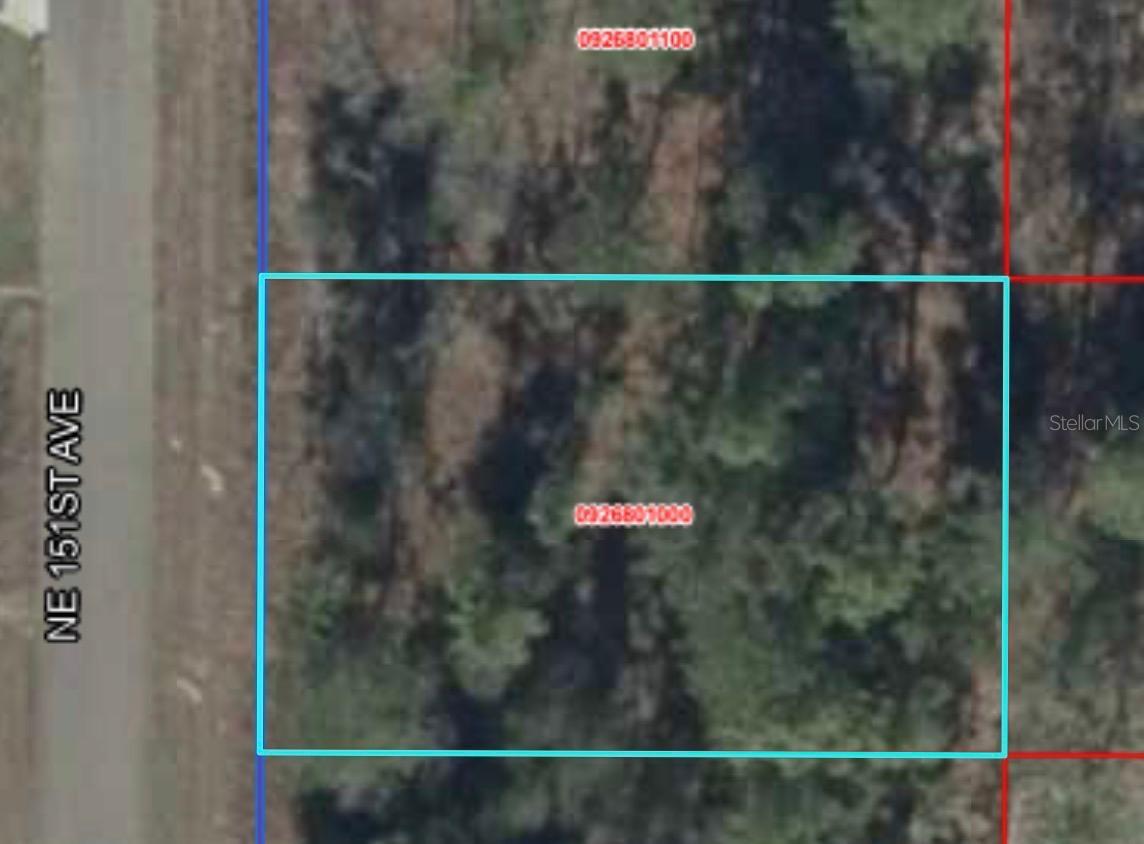 NE 151ST AVE, WILLISTON, FL