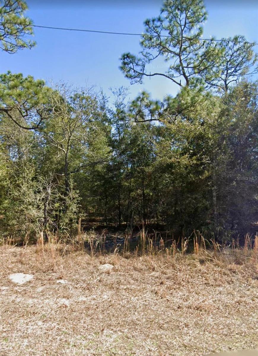NE 151ST AVE, WILLISTON, FL — photo 4
