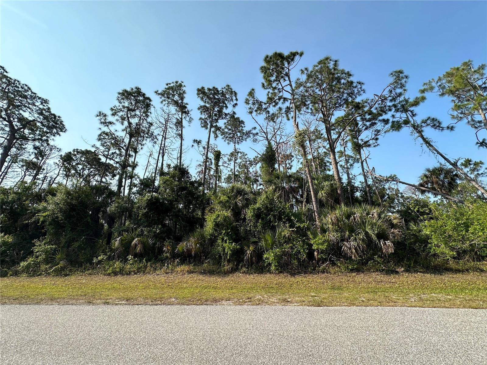 18038 YORK AVE, PORT CHARLOTTE, FL — photo 3