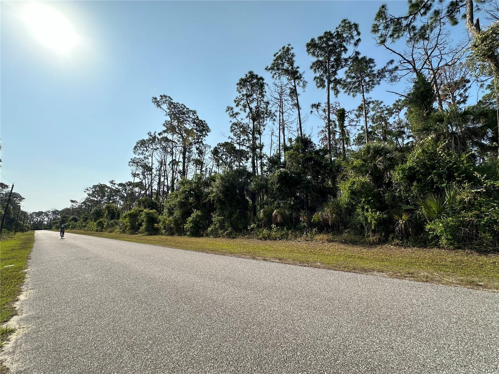 18038 YORK AVE, PORT CHARLOTTE, FL — photo 4