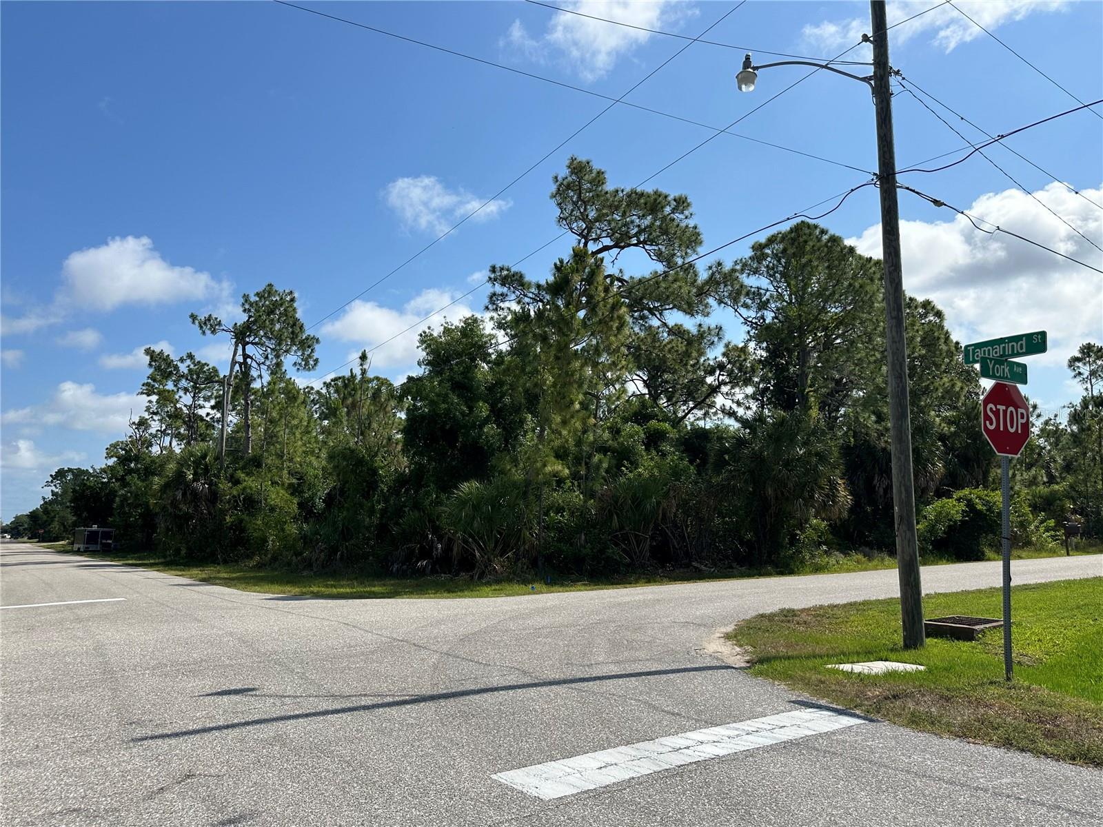 18038 YORK AVE, PORT CHARLOTTE, FL — photo 11