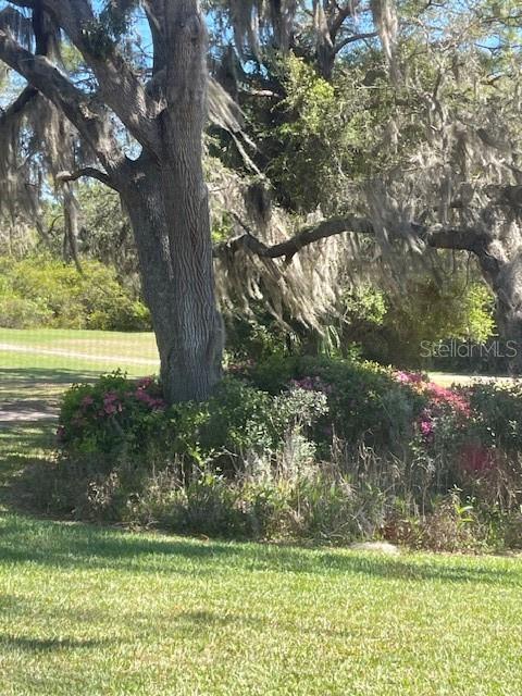 666 MIDWAY DR #A, OCALA, FL — photo 29