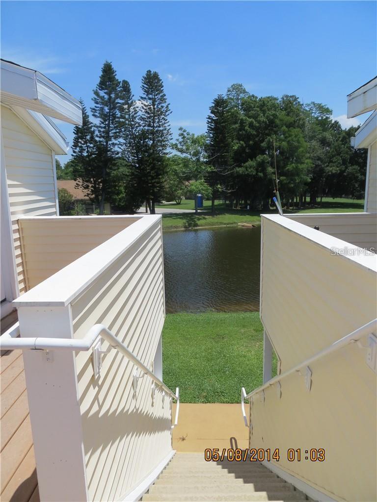 124 LOBLOLLY CT #D, OLDSMAR, FL — photo 12
