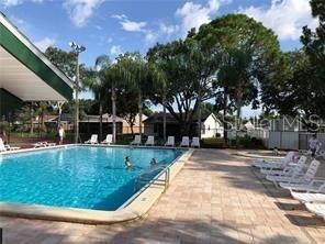 124 LOBLOLLY CT #D, OLDSMAR, FL — photo 13