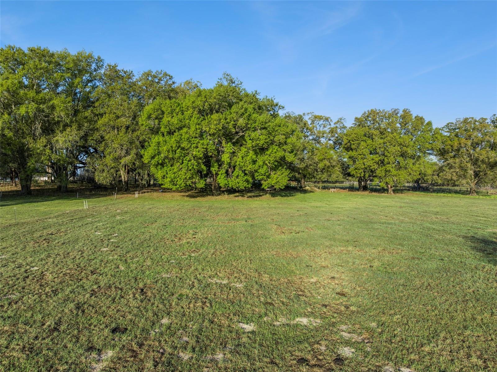 S HWY 475, OXFORD, FL — photo 10