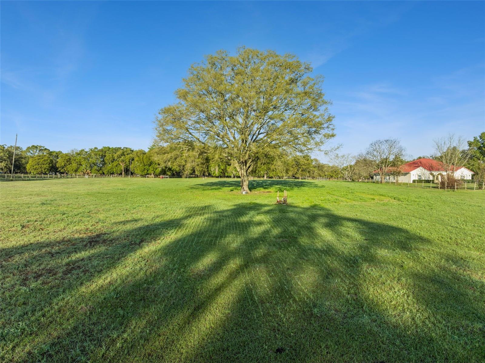 S HWY 475, OXFORD, FL — photo 12