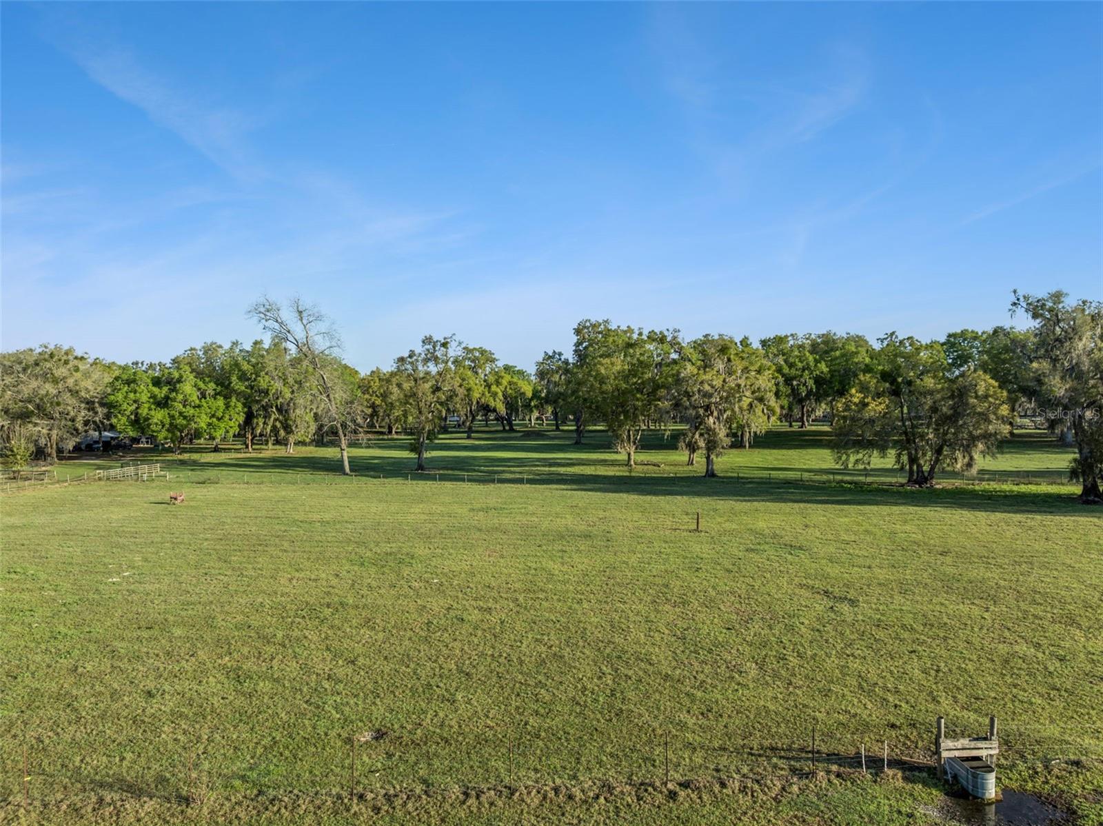 S HWY 475, OXFORD, FL — photo 14