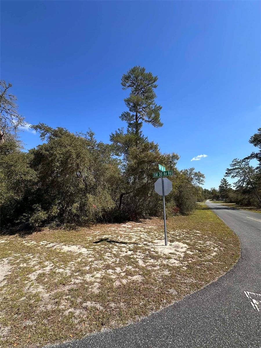 0 SW 36TH AVE. RD, OCALA, FL — photo 4