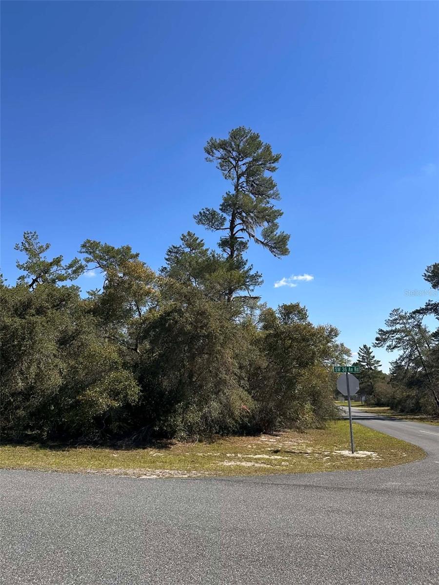 0 SW 36TH AVE. RD, OCALA, FL — photo 5