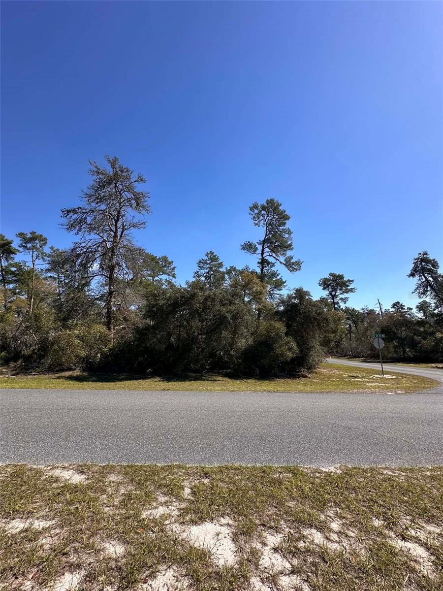 0 SW 36TH AVE. RD, OCALA, FL — photo 8
