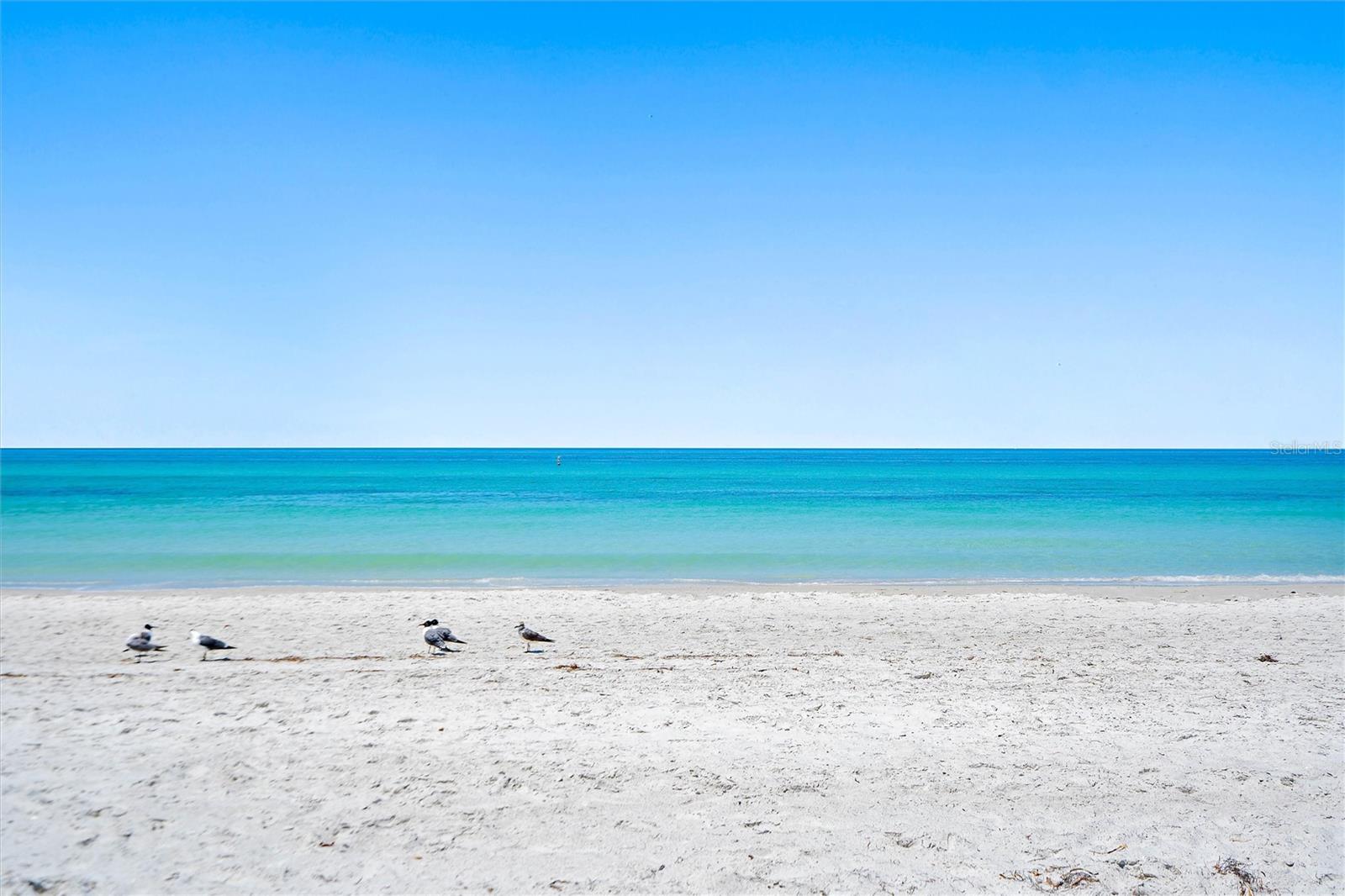 4103 GULF BLVD #201, ST PETE BEACH, FL — photo 25