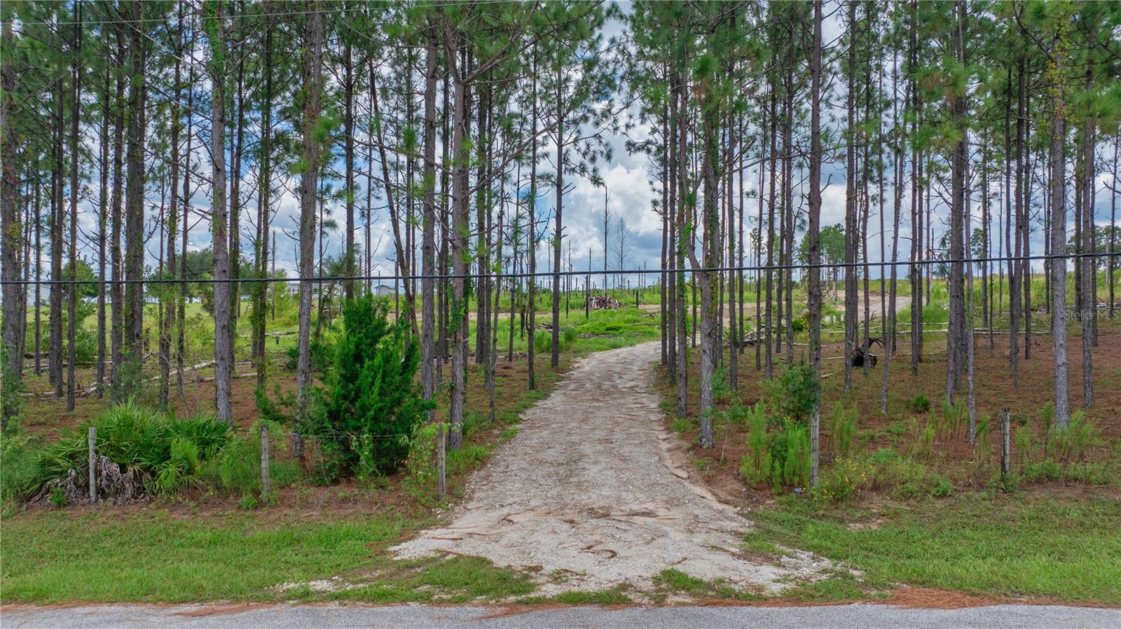 13070 CROWELL RD, BROOKSVILLE, FL — photo 2