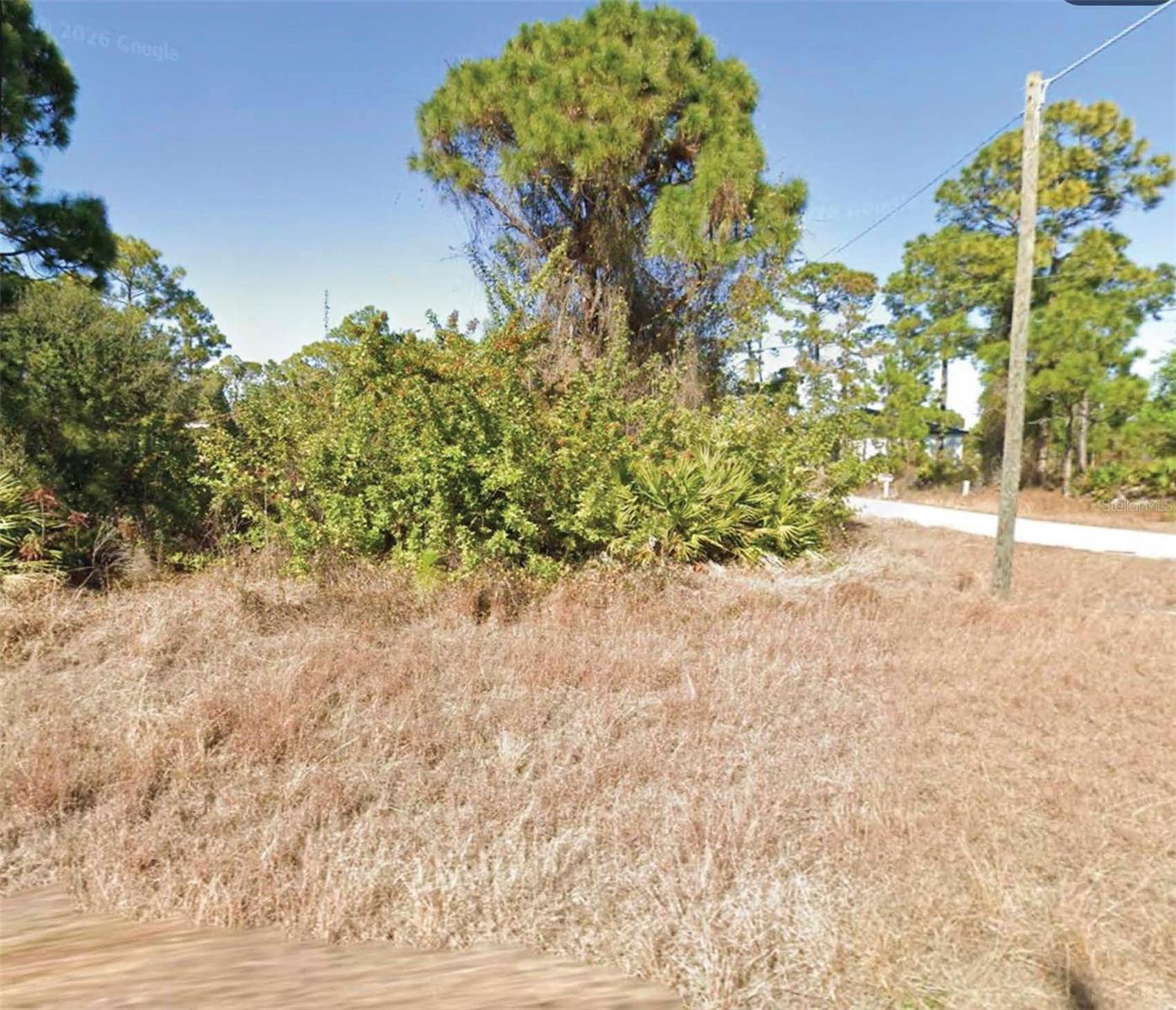 732 SANTA LUCIA AVE S, LEHIGH ACRES, FL — photo 2