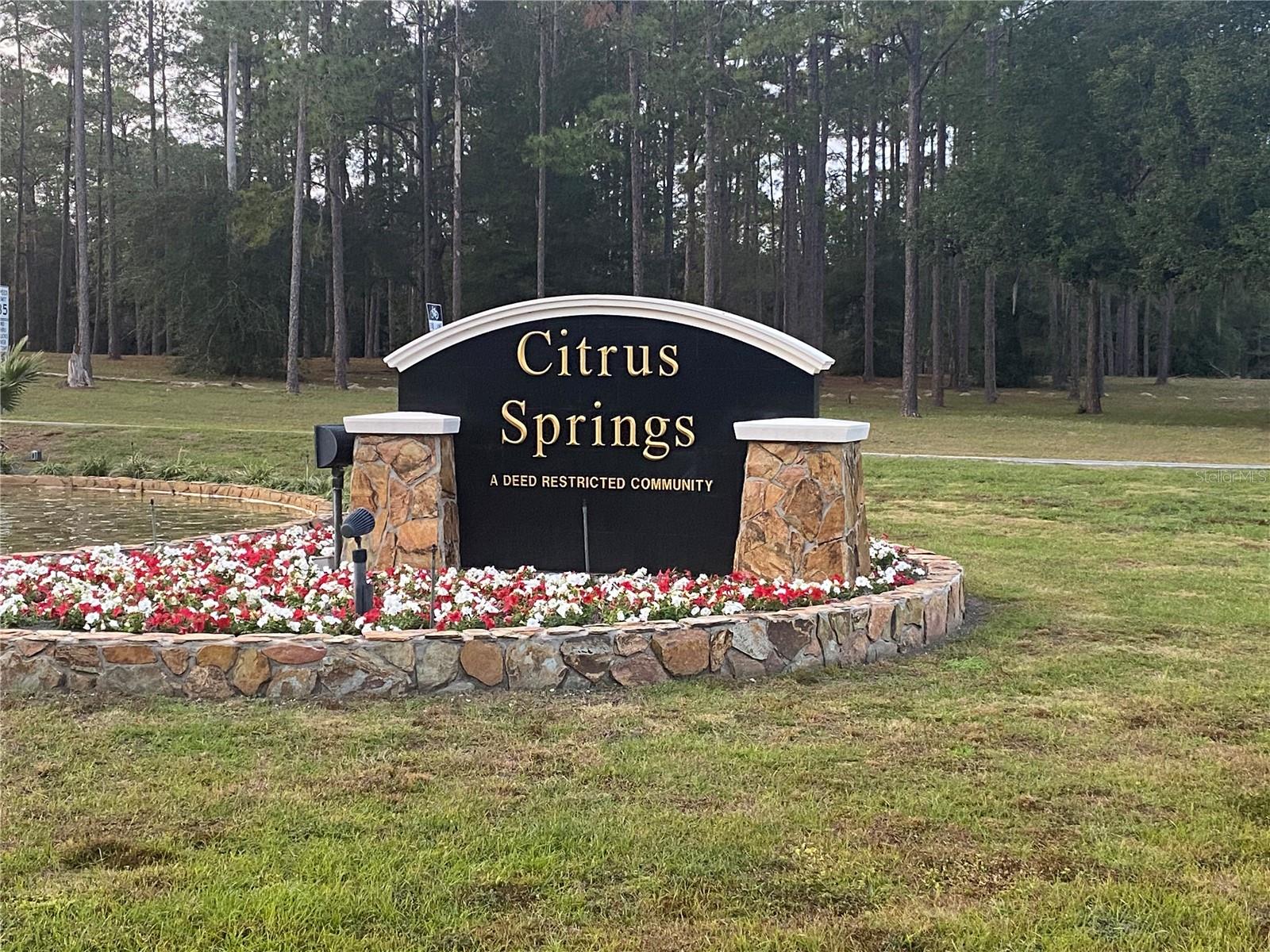9948 N SANDREE DR, CITRUS SPRINGS, FL — photo 6