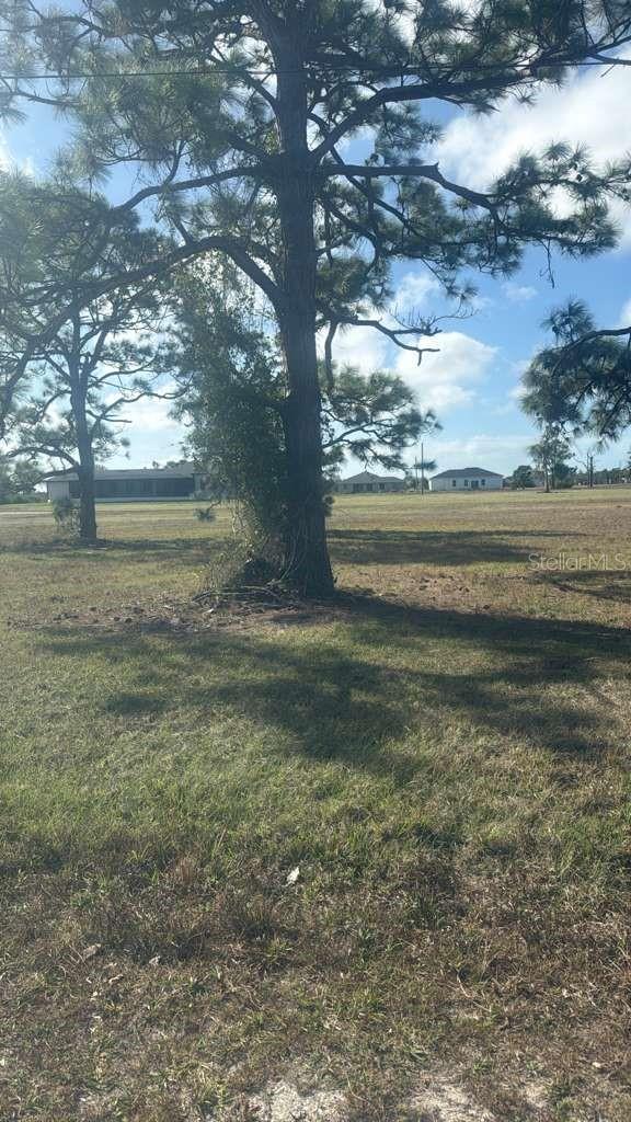 19 CARLINE LN, PLACIDA, FL — photo 2