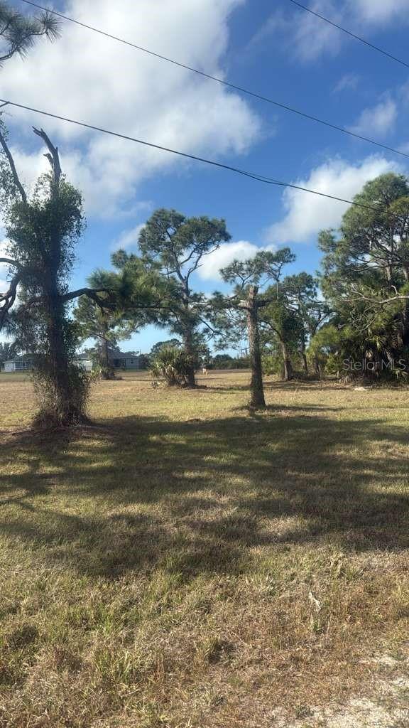 19 CARLINE LN, PLACIDA, FL — photo 3