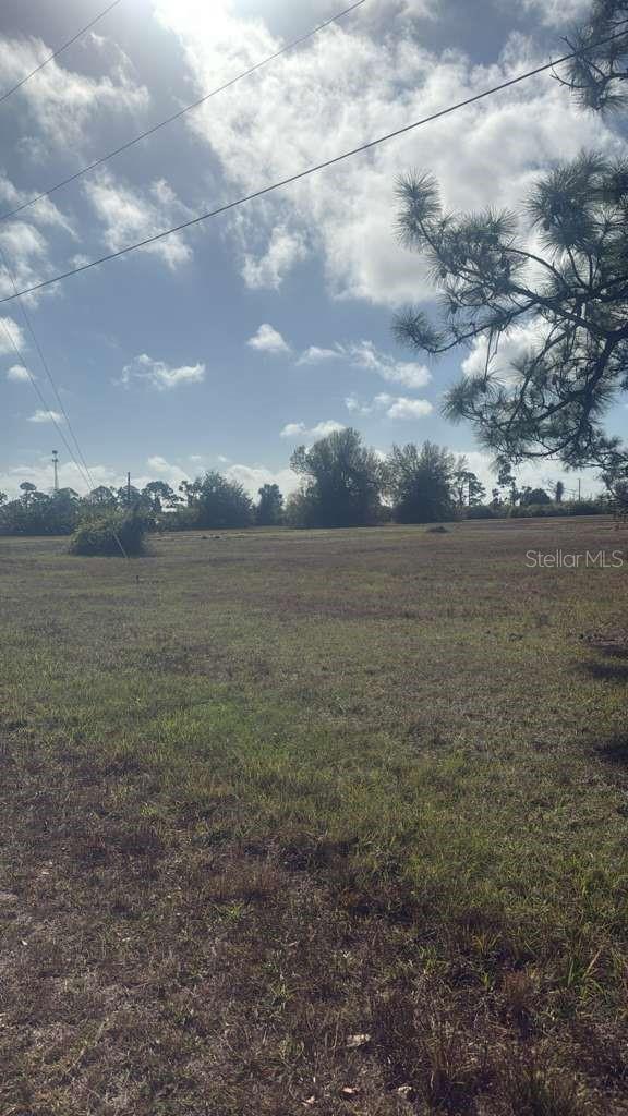 19 CARLINE LN, PLACIDA, FL — photo 4