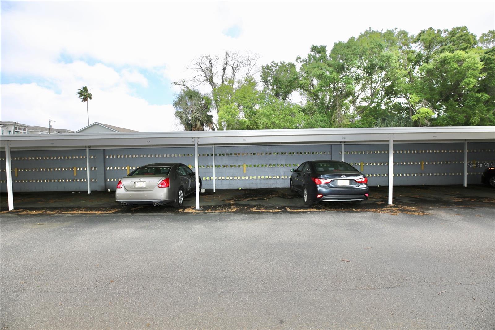 1713 BELLEAIR FOREST DR #C, BELLEAIR, FL — photo 35