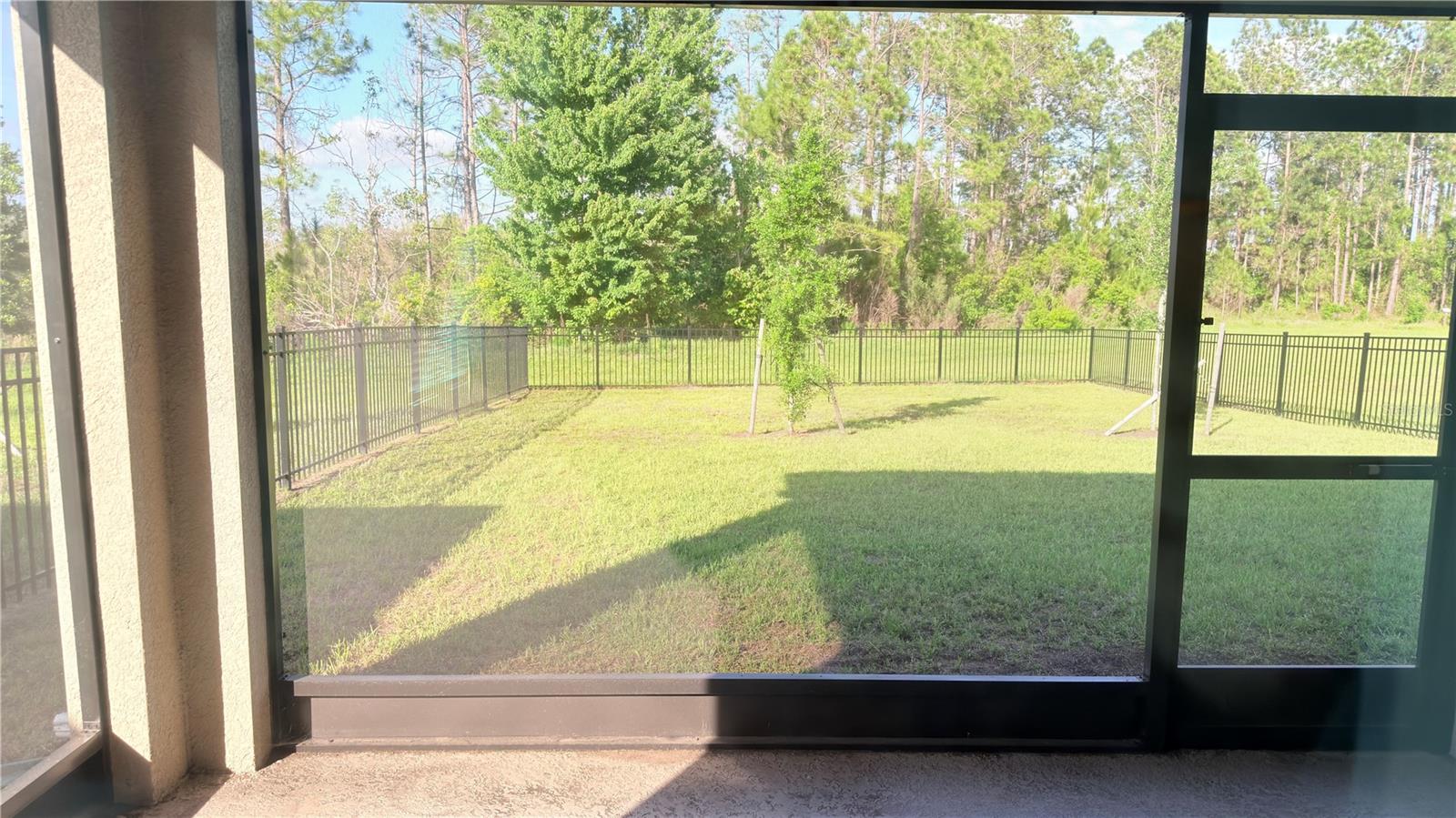 2816 SWOOPING SPARROW DR, ST CLOUD, FL — photo 2