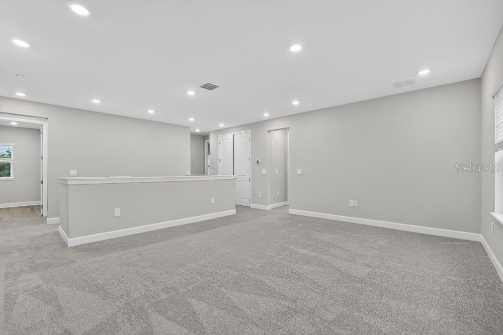 14219 SAWMILL ST, PARRISH, FL — photo 28
