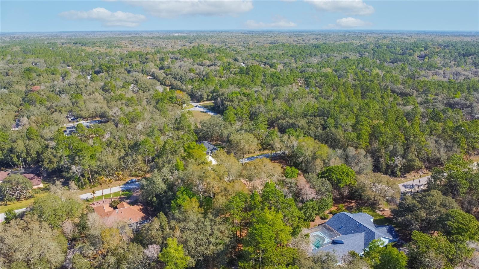 826 E GAINES LN, HERNANDO, FL — photo 48