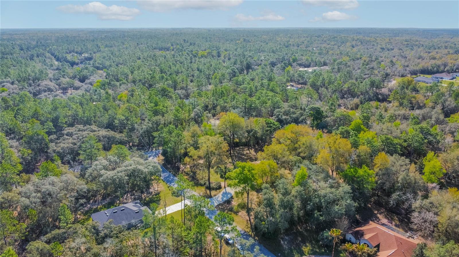 826 E GAINES LN, HERNANDO, FL — photo 51