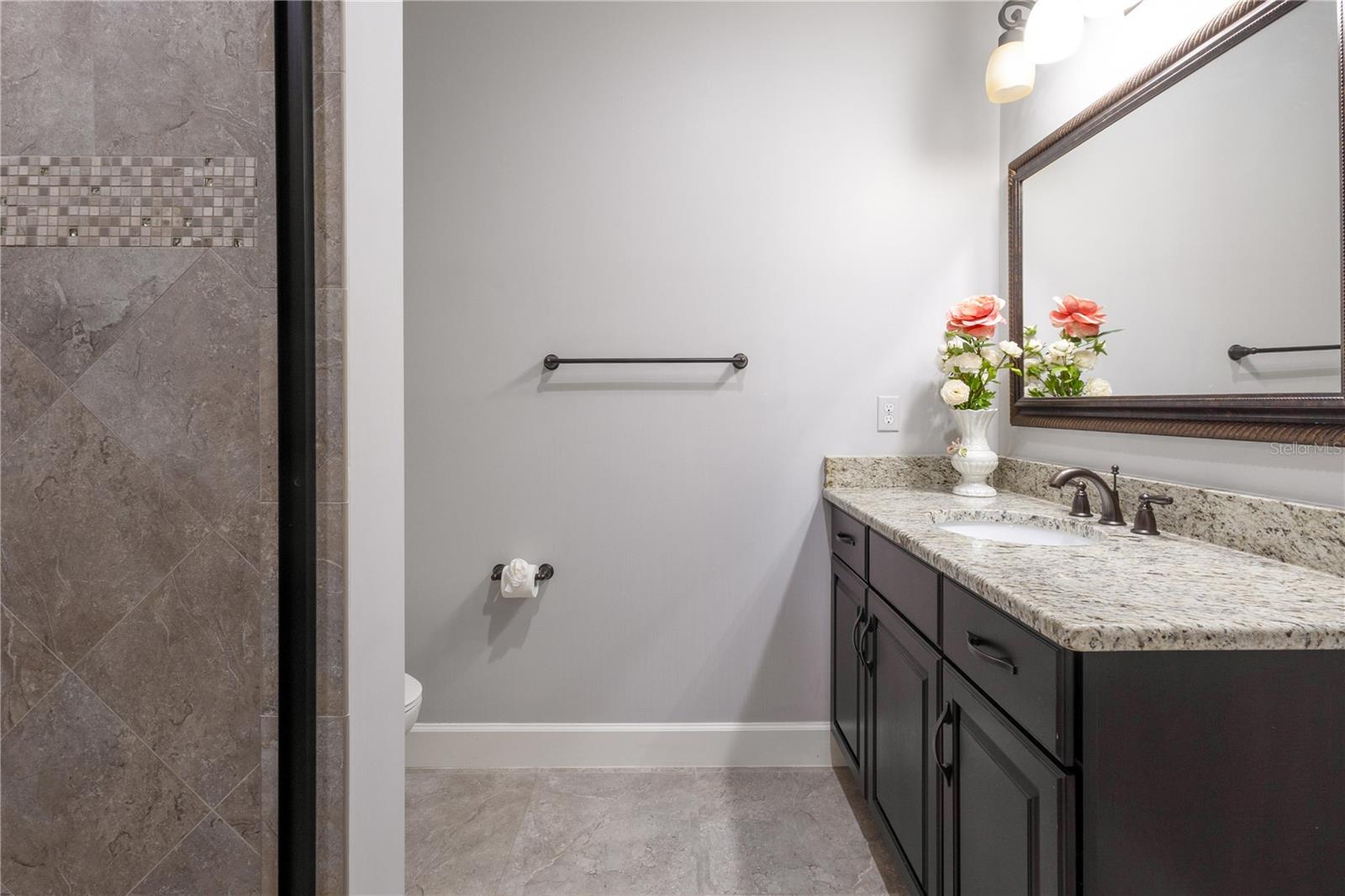 13304 BELLARIA CIR, WINDERMERE, FL — photo 56