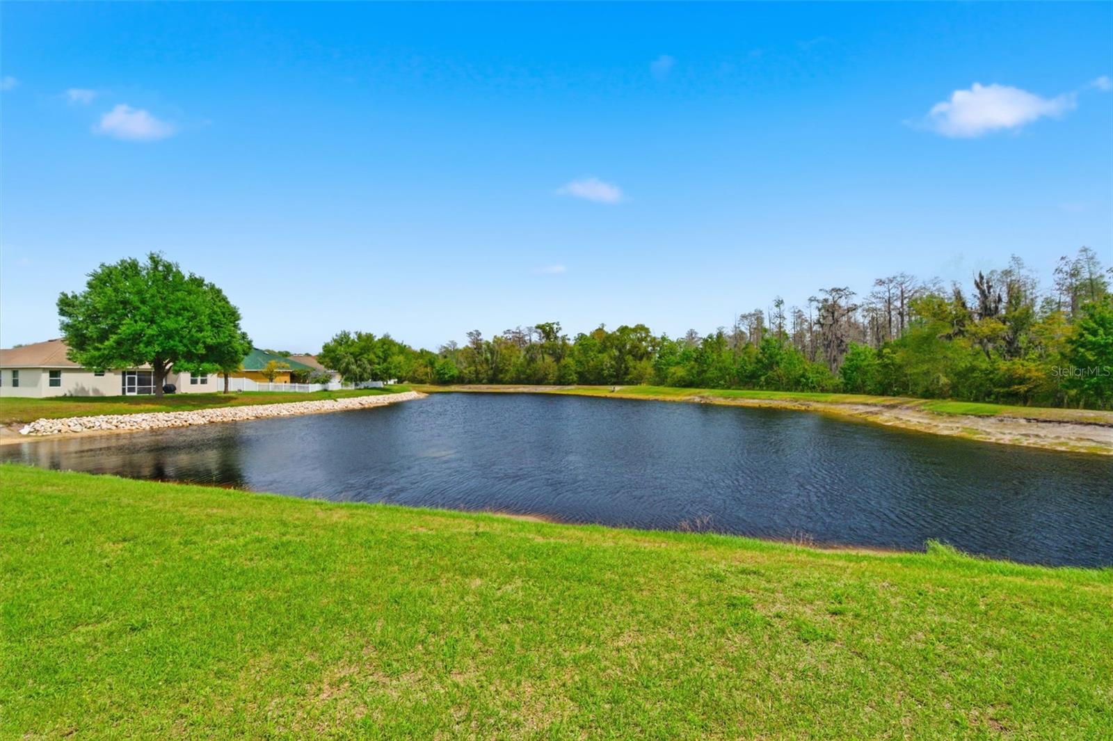 8606 REEDVILLE ST, NEW PORT RICHEY, FL — photo 55