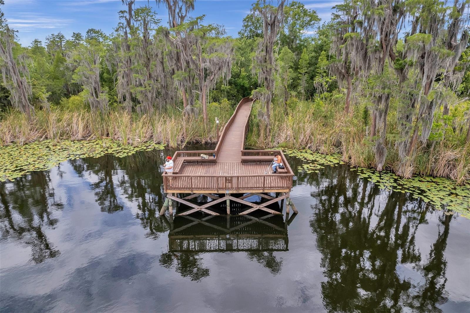 8606 REEDVILLE ST, NEW PORT RICHEY, FL — photo 90