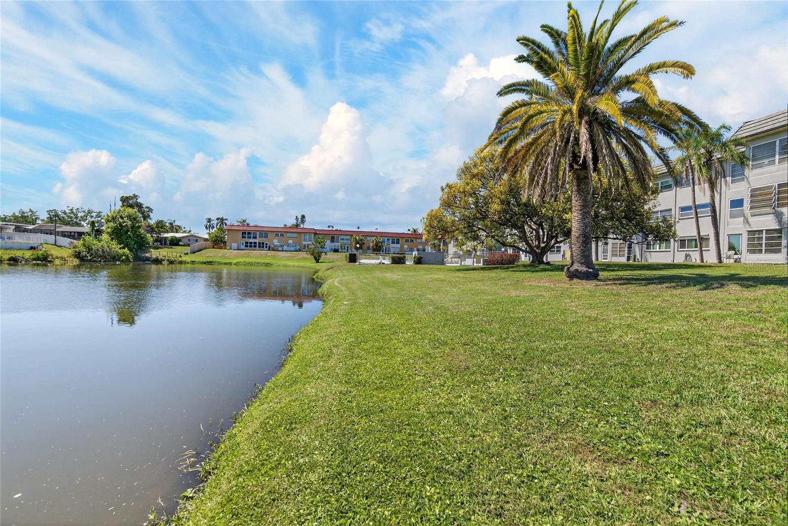 1303 S HERCULES AVE #2, CLEARWATER, FL — photo 41