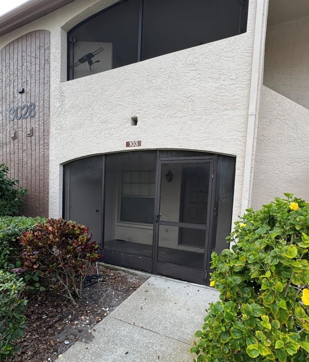 3028 BONAVENTURE CIR #103, PALM HARBOR, FL