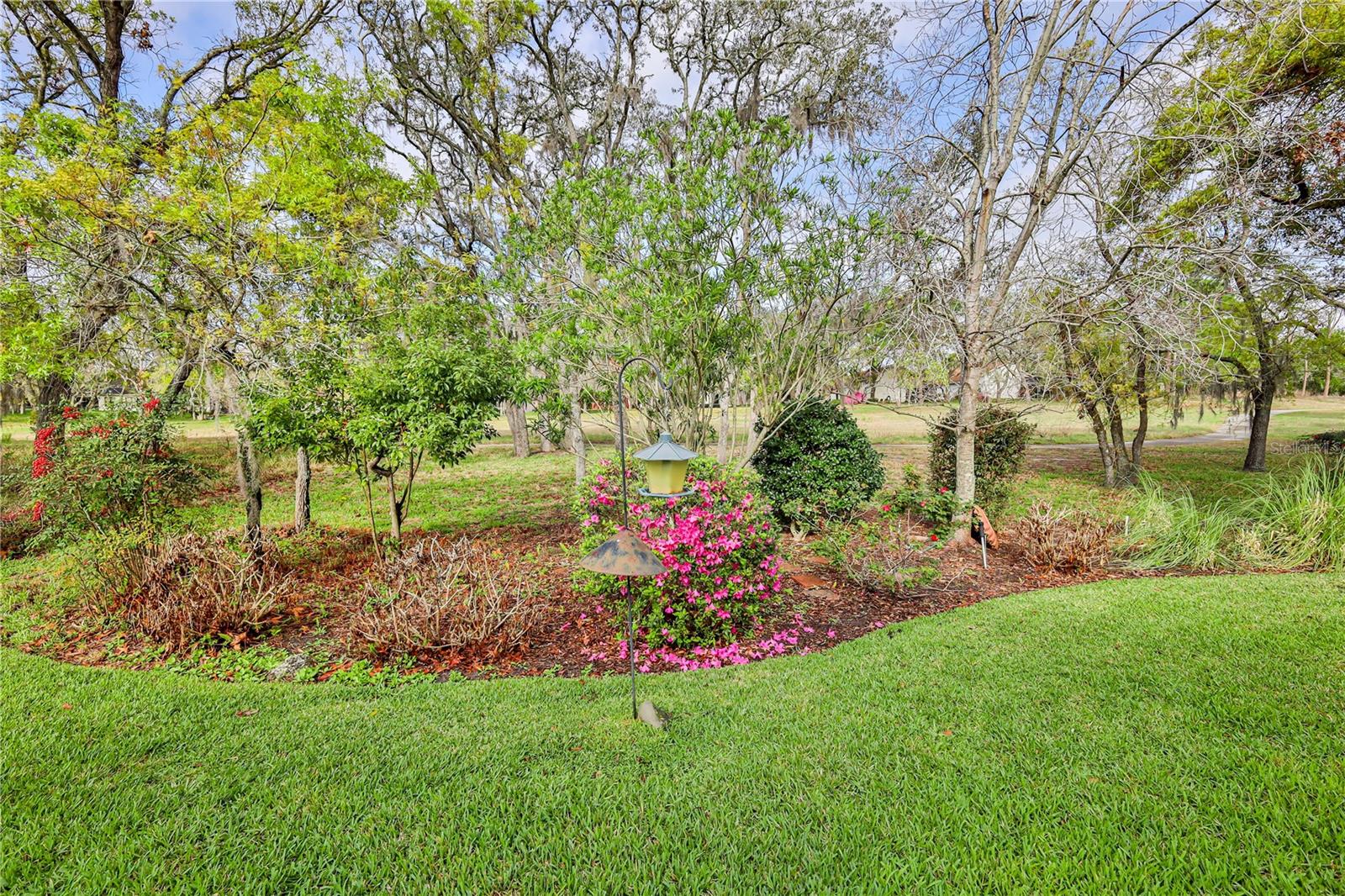 431 QUANE AVE, SPRING HILL, FL — photo 59